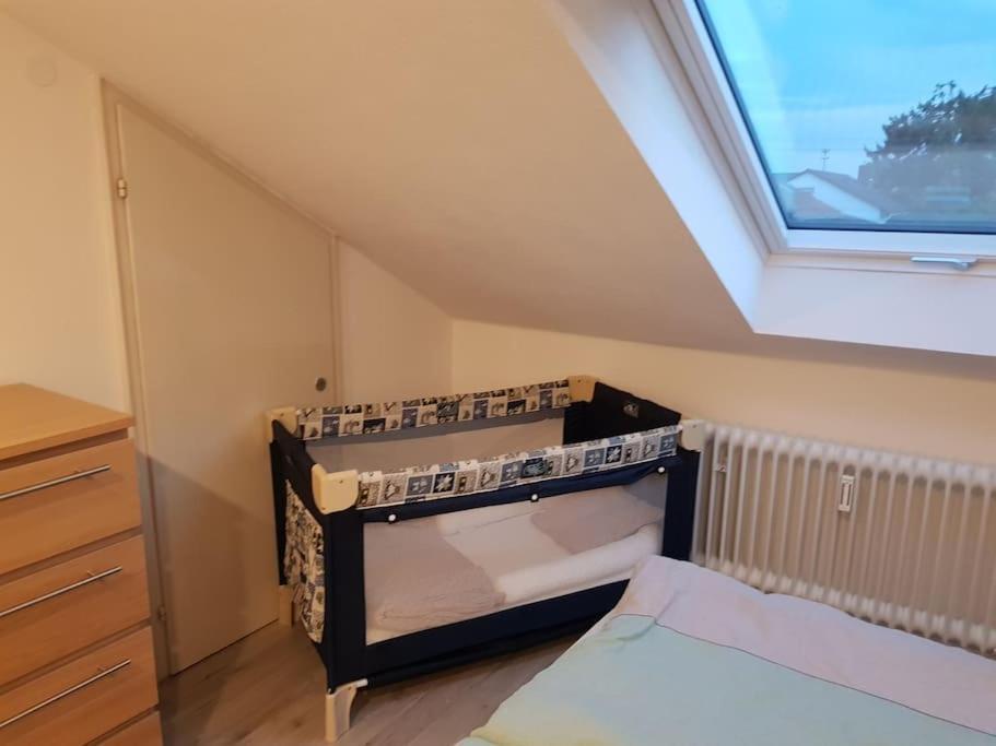 Gemuetliche Wohnung Bei Bad Waldsee Mit Balkon מראה חיצוני תמונה