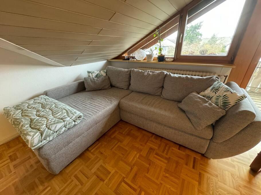 Gemuetliche Wohnung Bei Bad Waldsee Mit Balkon מראה חיצוני תמונה